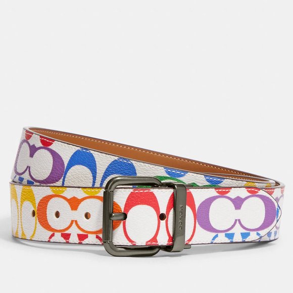 🌈 Coach Rainbow Belt - Roller Buckle Cut To Size Reversible - Picture 1 of 9